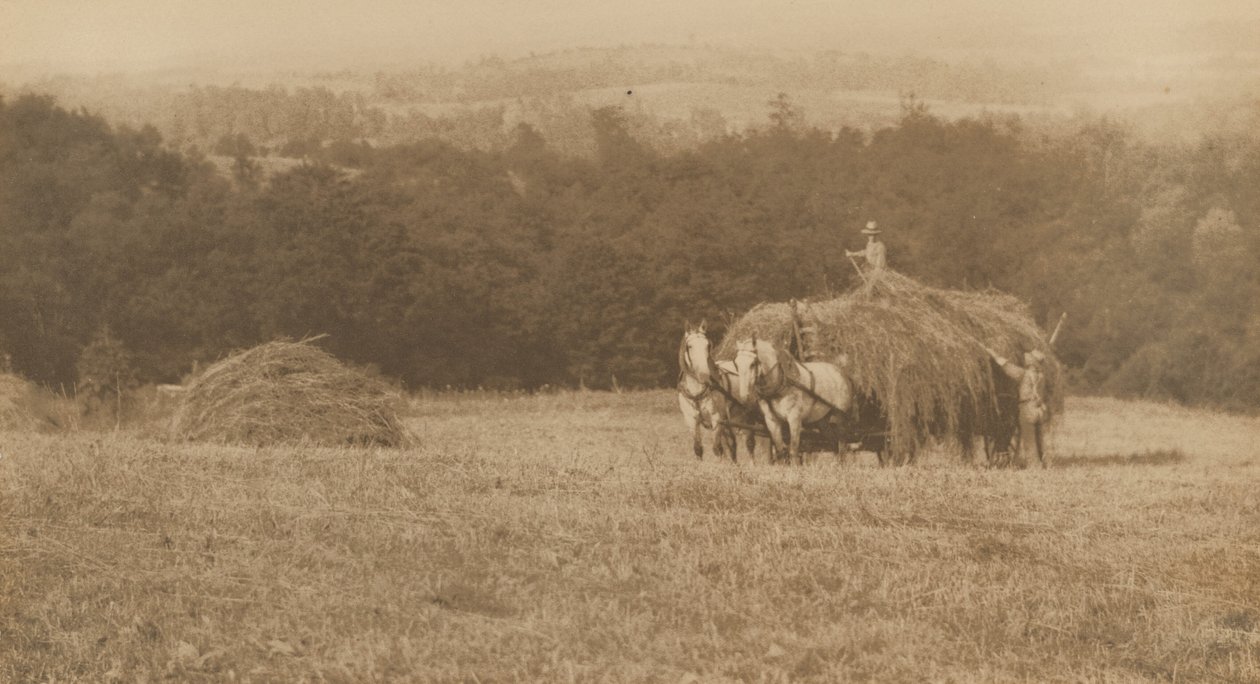 Caricamento del fieno, 1890-1900 (foto) da John G. Bullock