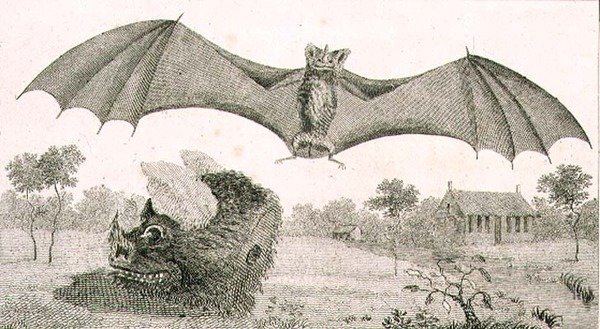 Il vampiro o spettro della Guiana da John Gabriel (after) Stedman