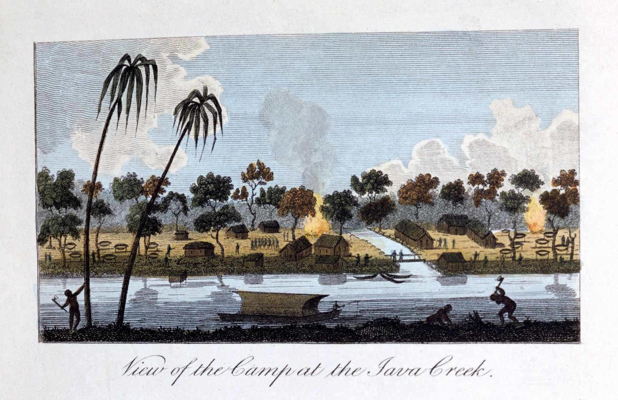 Veduta del campo al Java Creek, 1813 da John Gabriel Stedman