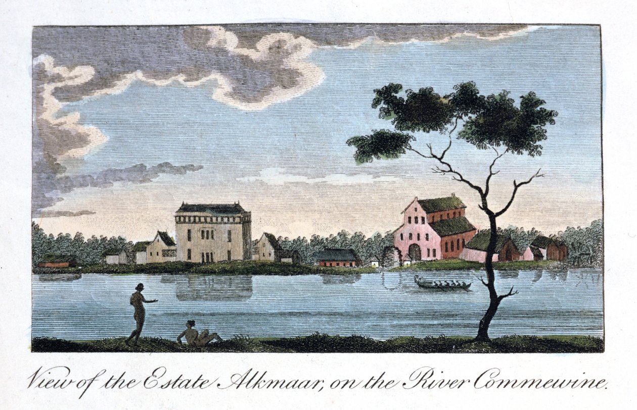 Vista della tenuta Alkmaar, sul fiume Commewine, 1813 da John Gabriel Stedman