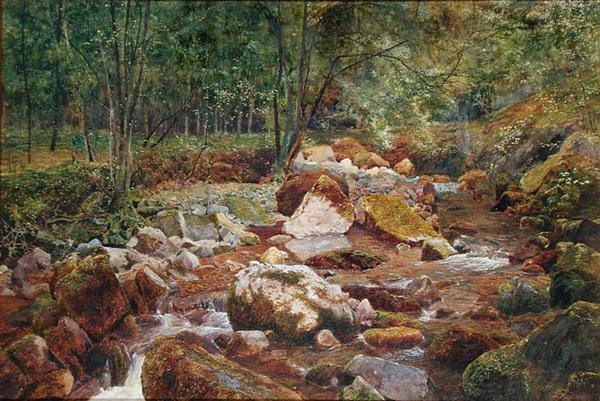 Un torrente roccioso sovrastato da alberi da John George Sowerby