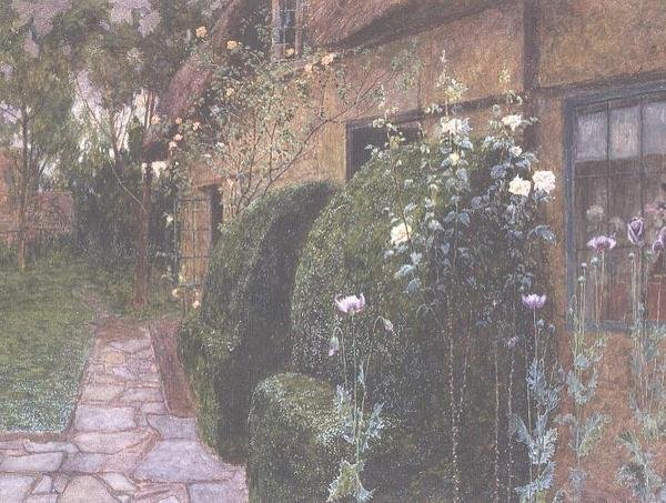 I palchi da John George Sowerby