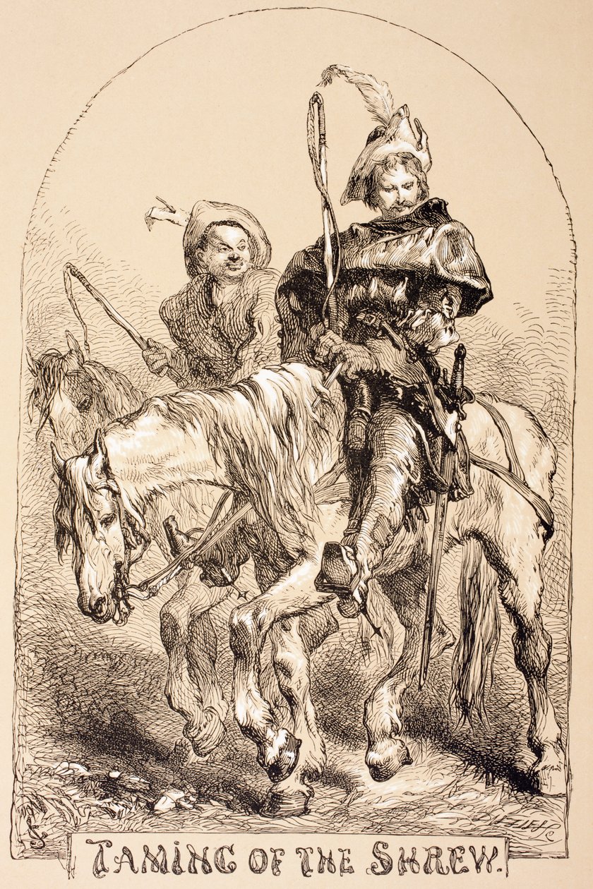 Illustrazione per La bisbetica domata, da 
