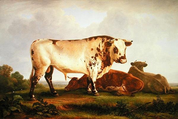Toro da John Glover