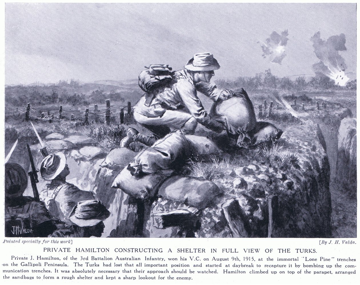 Il soldato Hamilton costruisce un rifugio sotto gli occhi dei turchi nelle trincee di Lone Pine sulla penisola di Gallipoli, agosto 1915 da John Harris Valda