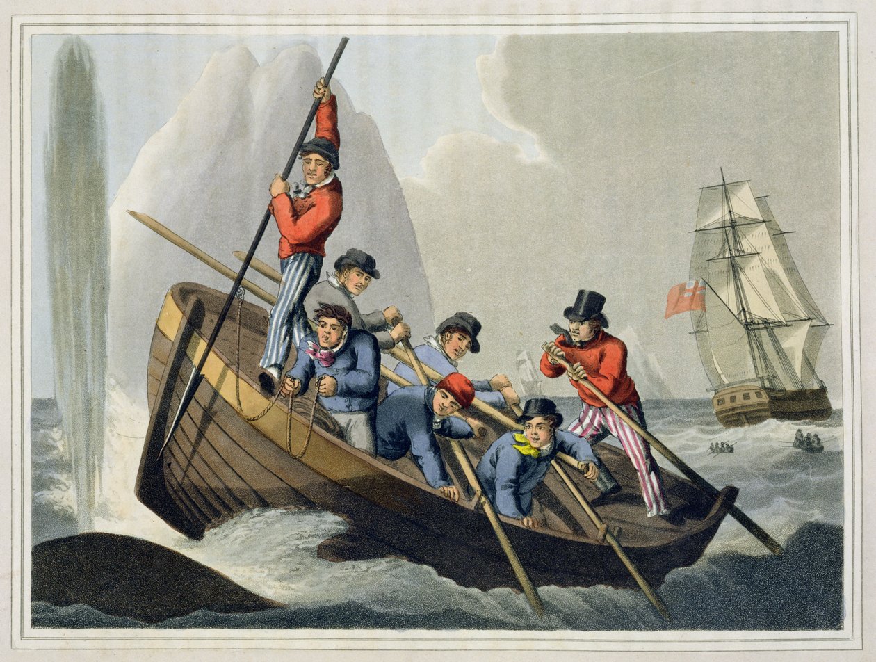 Una barca di una nave che attacca una balena, inciso da Matthew Dubourg, pubblicato da Edward Orme, 1813 da John Heaviside Clark