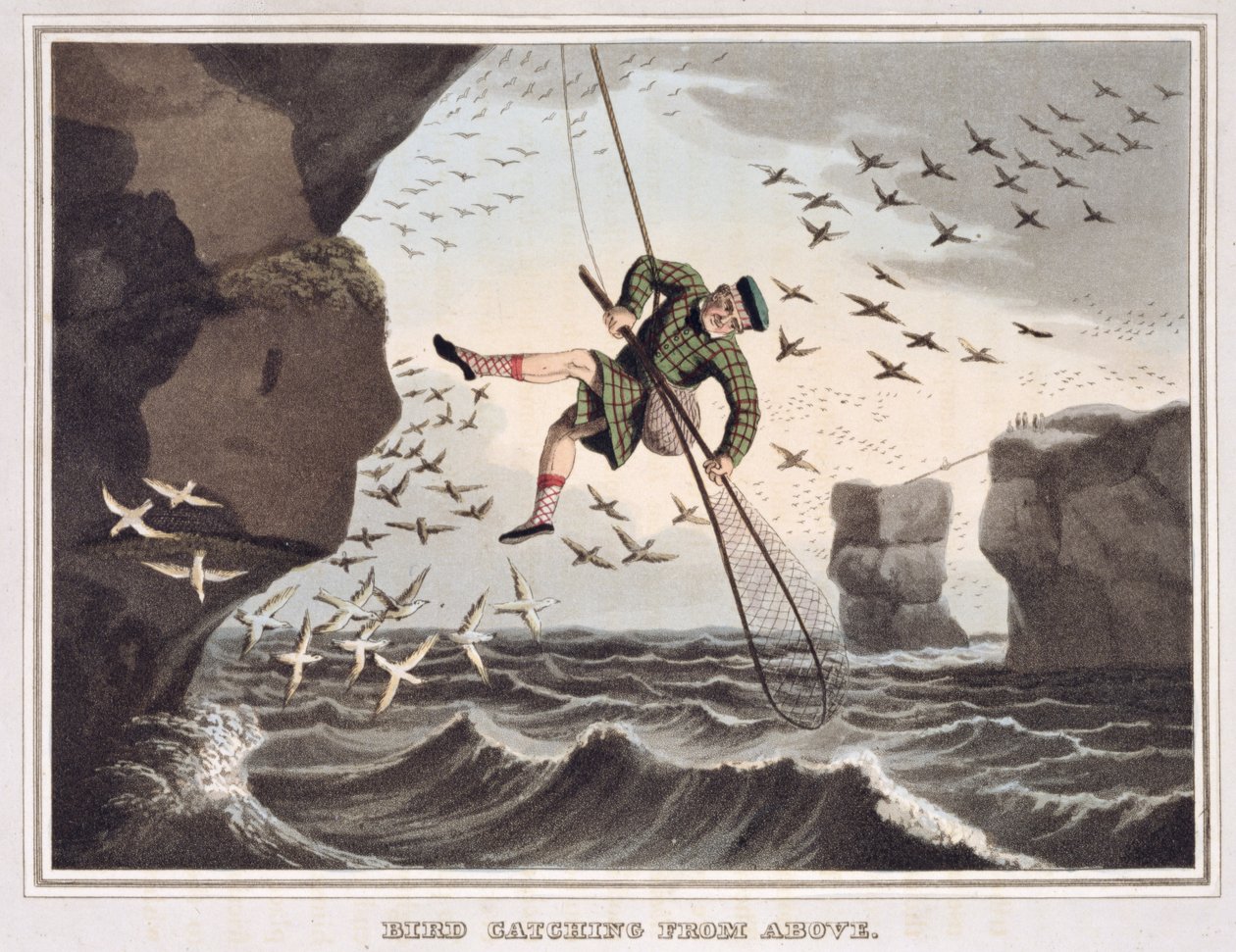 Cattura degli uccelli dall
