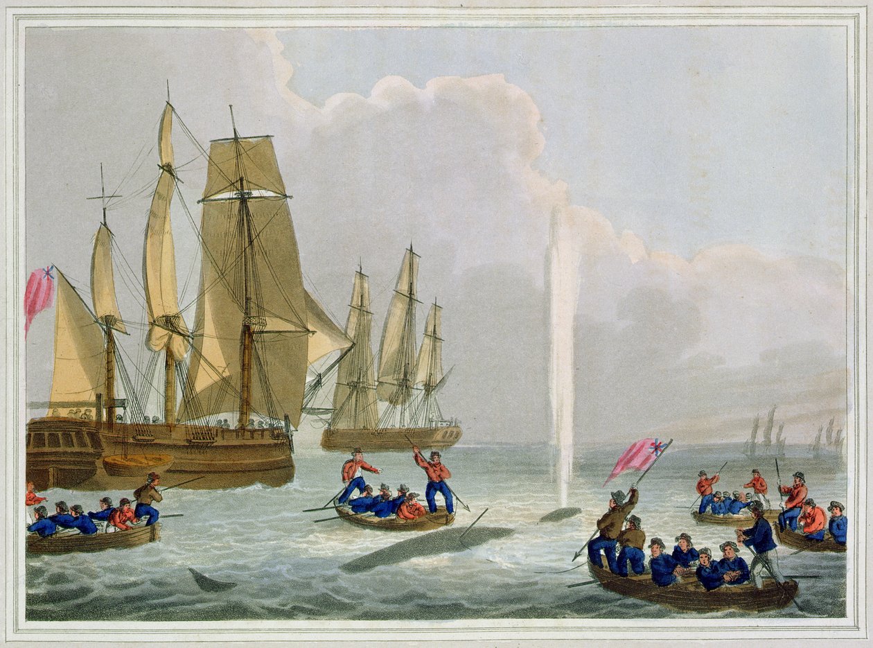 Barche che si avvicinano a una balena, inciso da Matthew Dubourg, pubblicato da Edward Orme da John Heaviside Clark