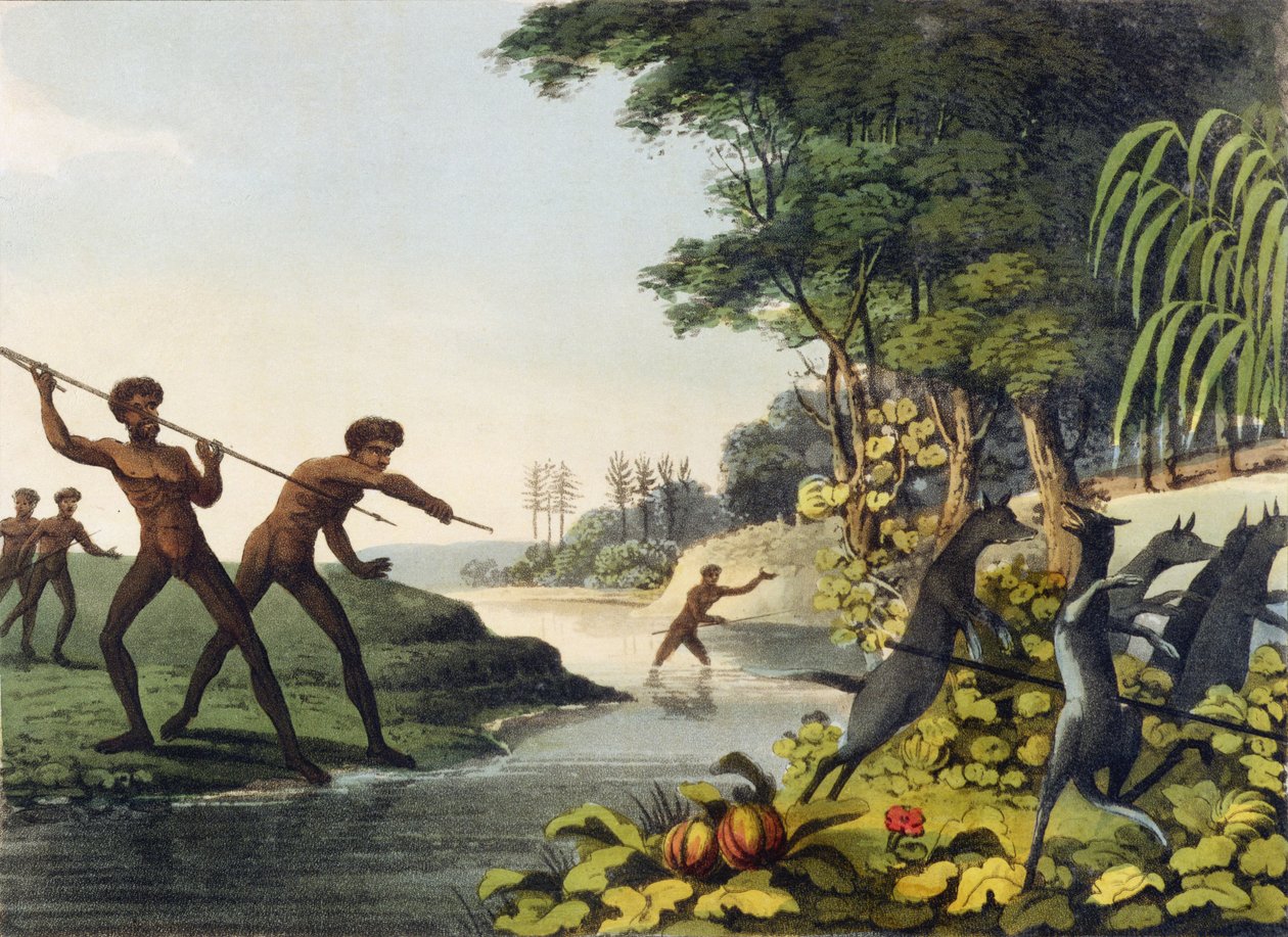 Caccia al canguro, aborigeni nel Nuovo Galles del Sud inciso da Matthew Dubourg (fl.1813-1820) 1813 da John Heaviside Clark