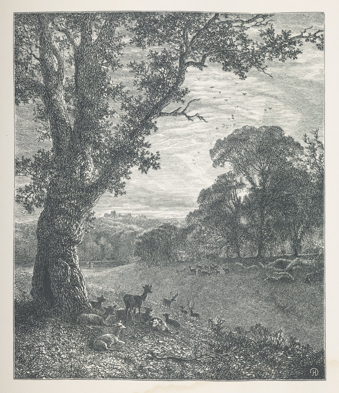 Cervi intorno a un albero, Nature Pictures, Una serie di trenta illustrazioni originali disegnate su legno da J. H. Dell, e incise da R. Paterson da John Henry Dell