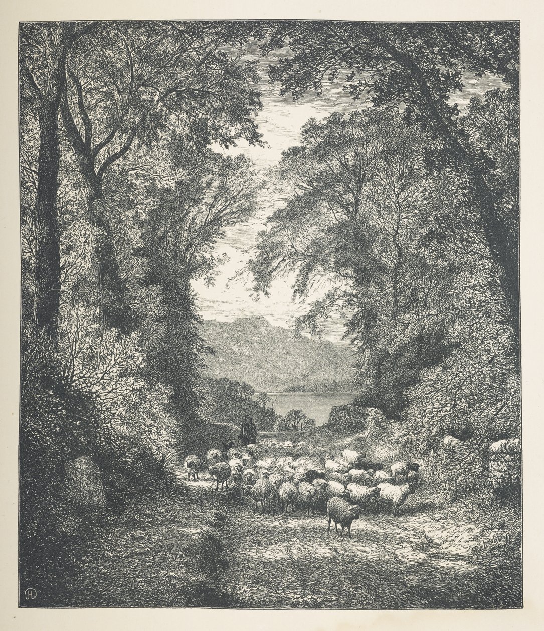 Pecore guidate da un pastore lungo un sentiero, Nature Pictures, Una serie di trenta illustrazioni originali disegnate su legno da J. H. Dell, e incise da R. Paterson da John Henry Dell
