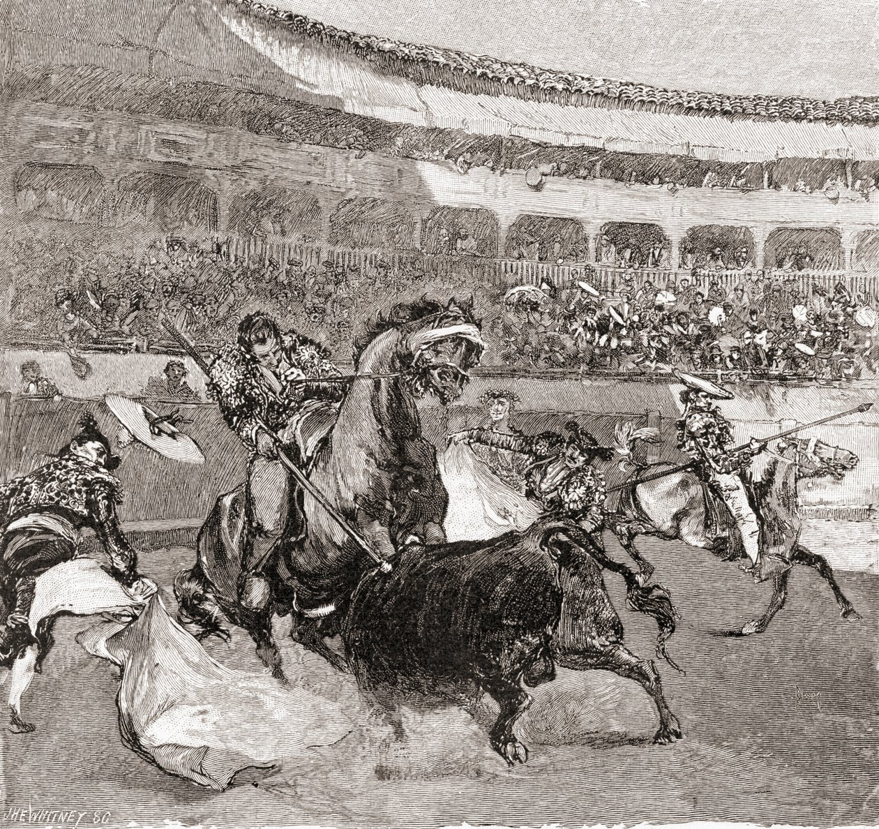 Una corrida a Siviglia, Spagna, da The Century Illustrated Monthly Magazine, pubblicato nel 1884 da John Henry Ellsworth Whitney