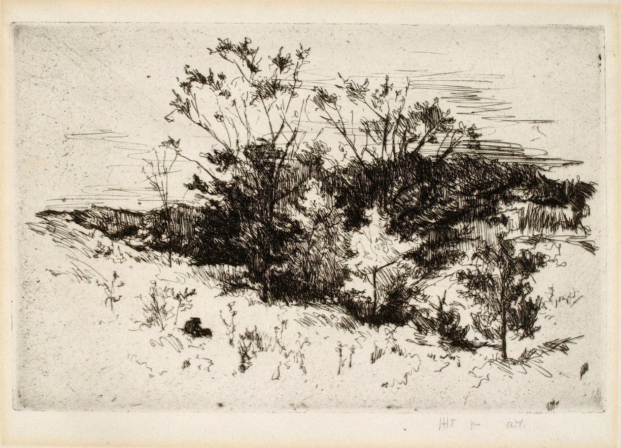Paesaggio vicino a Cincinnati da John Henry Twachtman