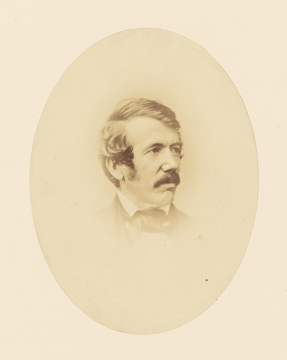 Il dottor Livingstone da John Jabez Edwin Mayall