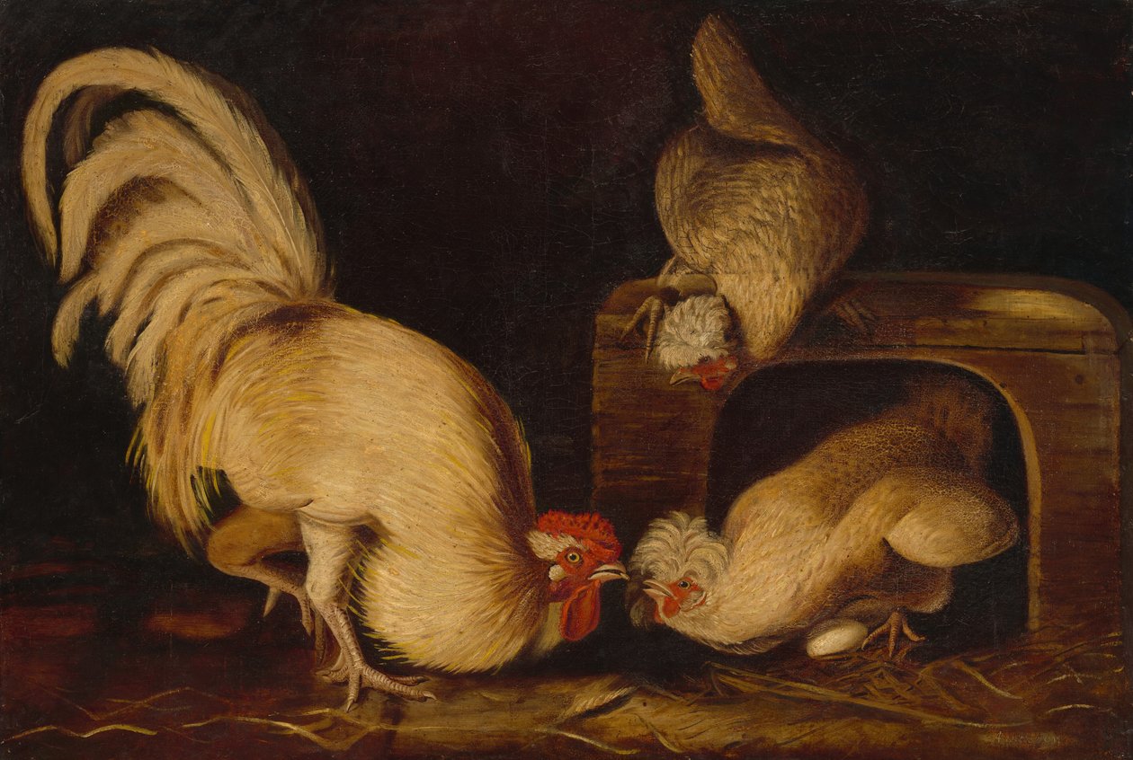 Pollame del cortile, c. 1827 da John James Audubon
