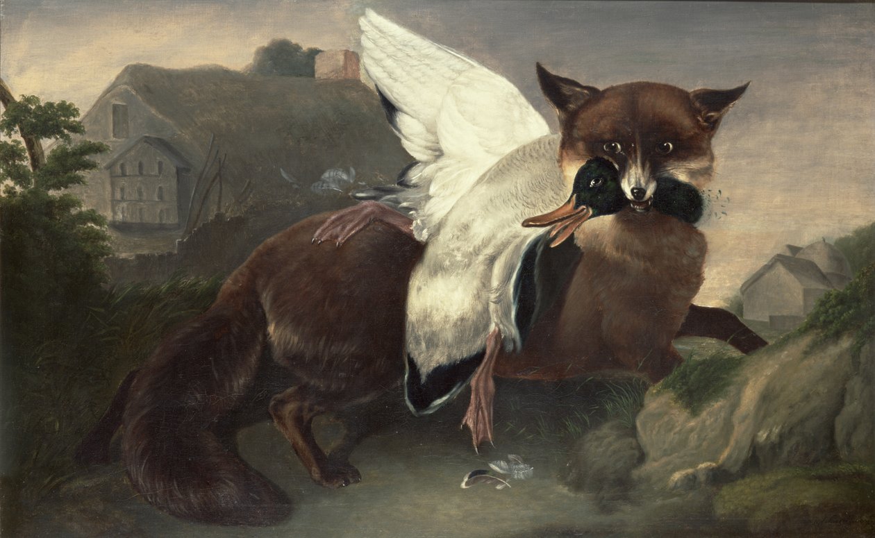 Volpe e oca, 1835 circa (olio su tela) da John James Audubon