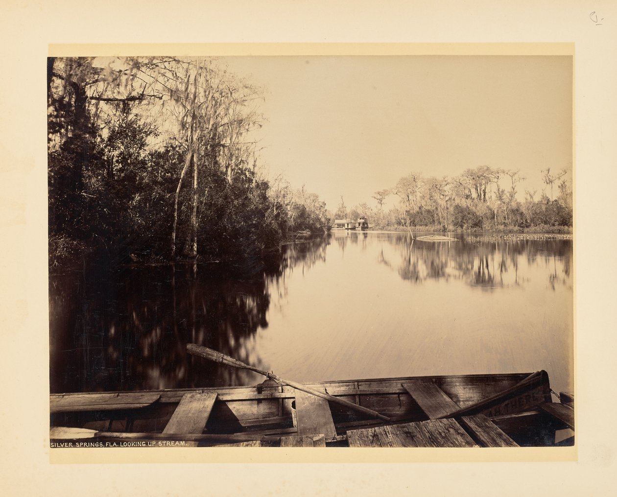Silver Springs, Florida, vista verso monte da John K. Hillers