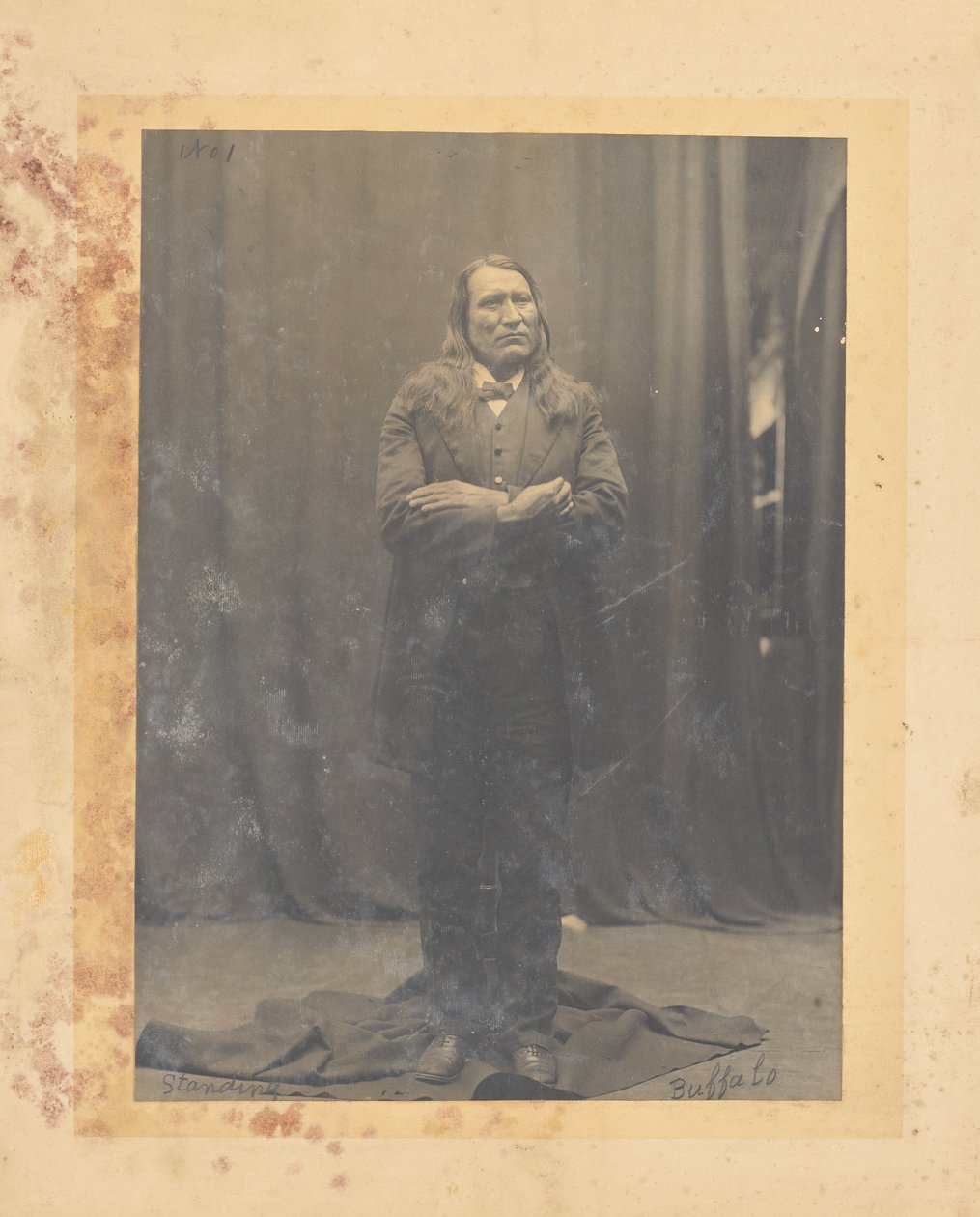 Stehender Büffel da John K. Hillers