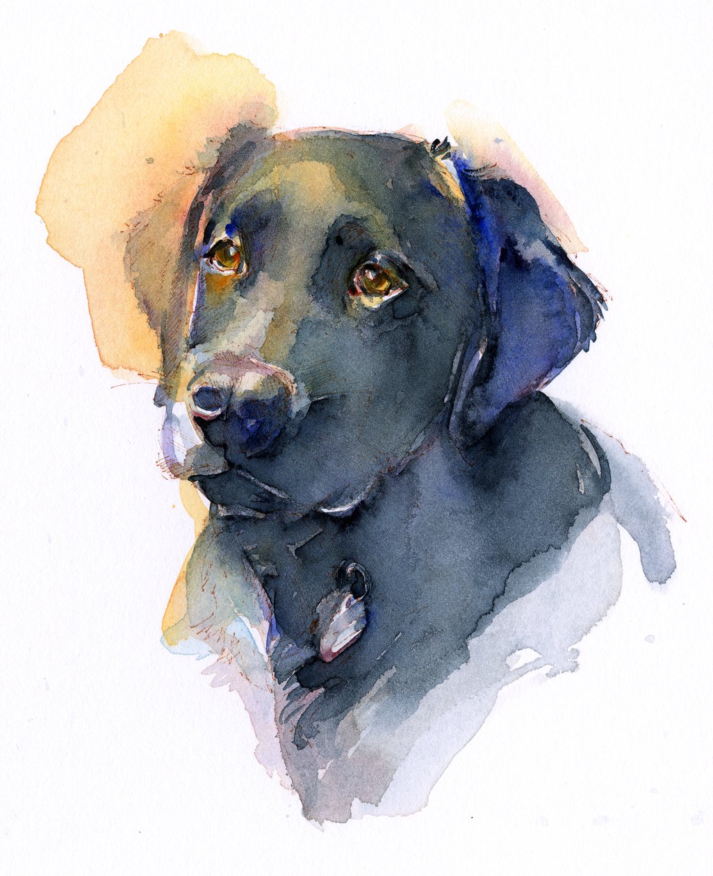 Labrador nero, 2017 da John Keeling