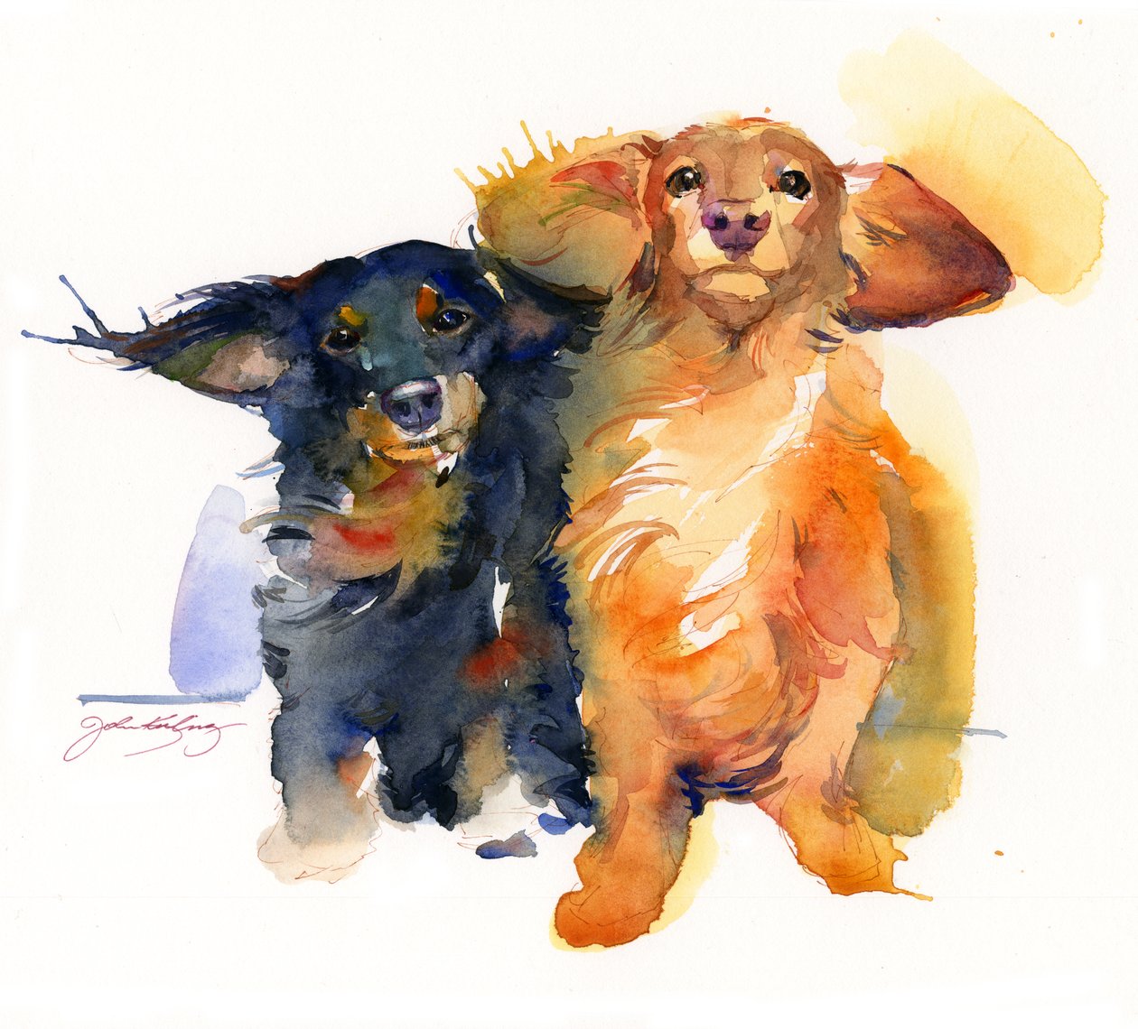 Duo di bassotti da John Keeling