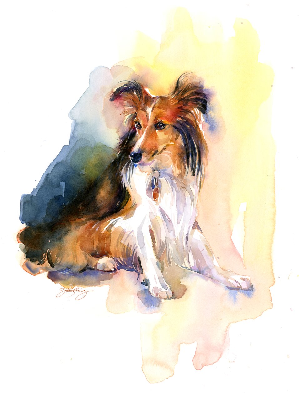 Ritratto di Sheltie da John Keeling