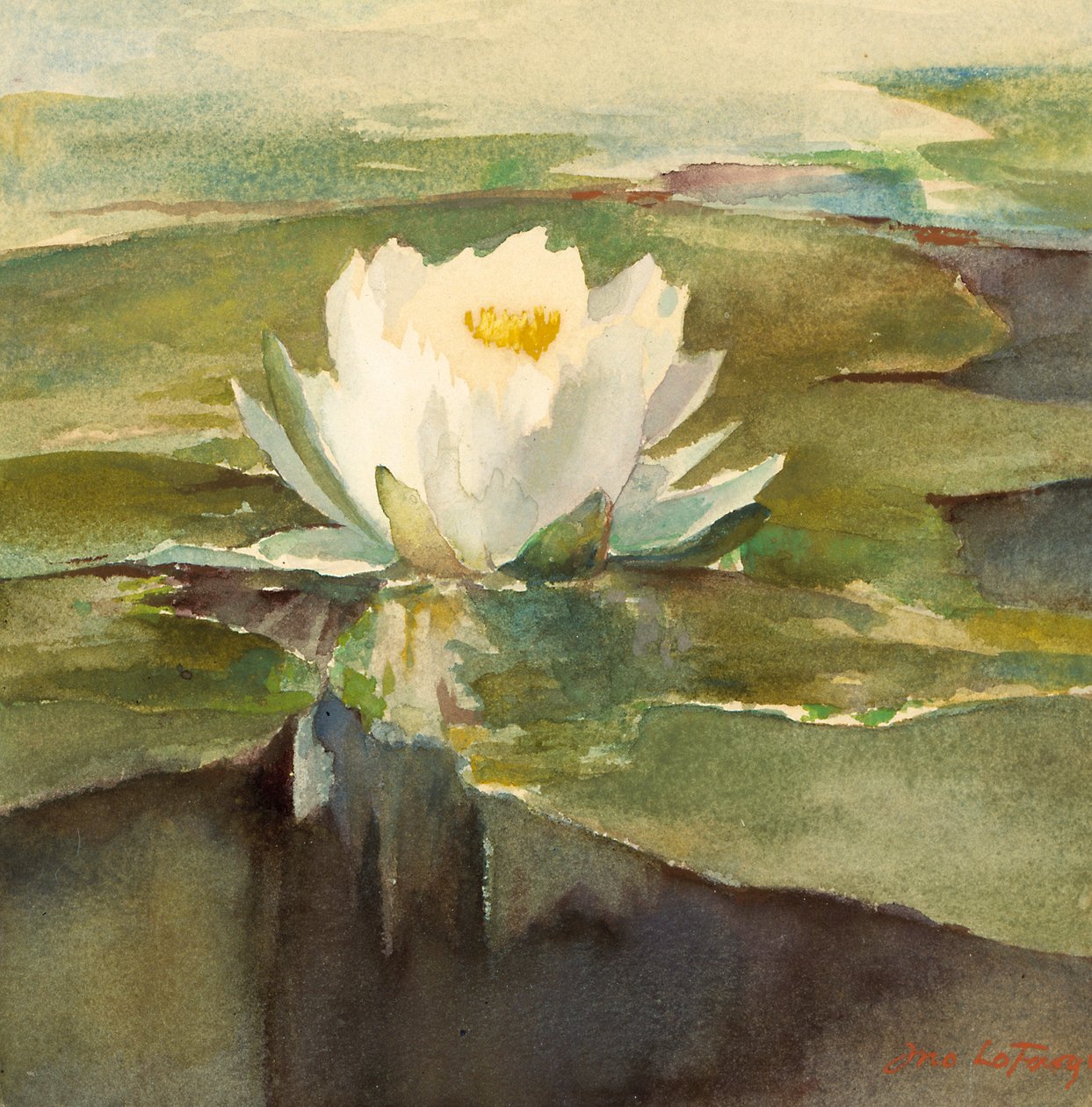Ninfea alla luce del sole, ca. 1883 da John La Farge