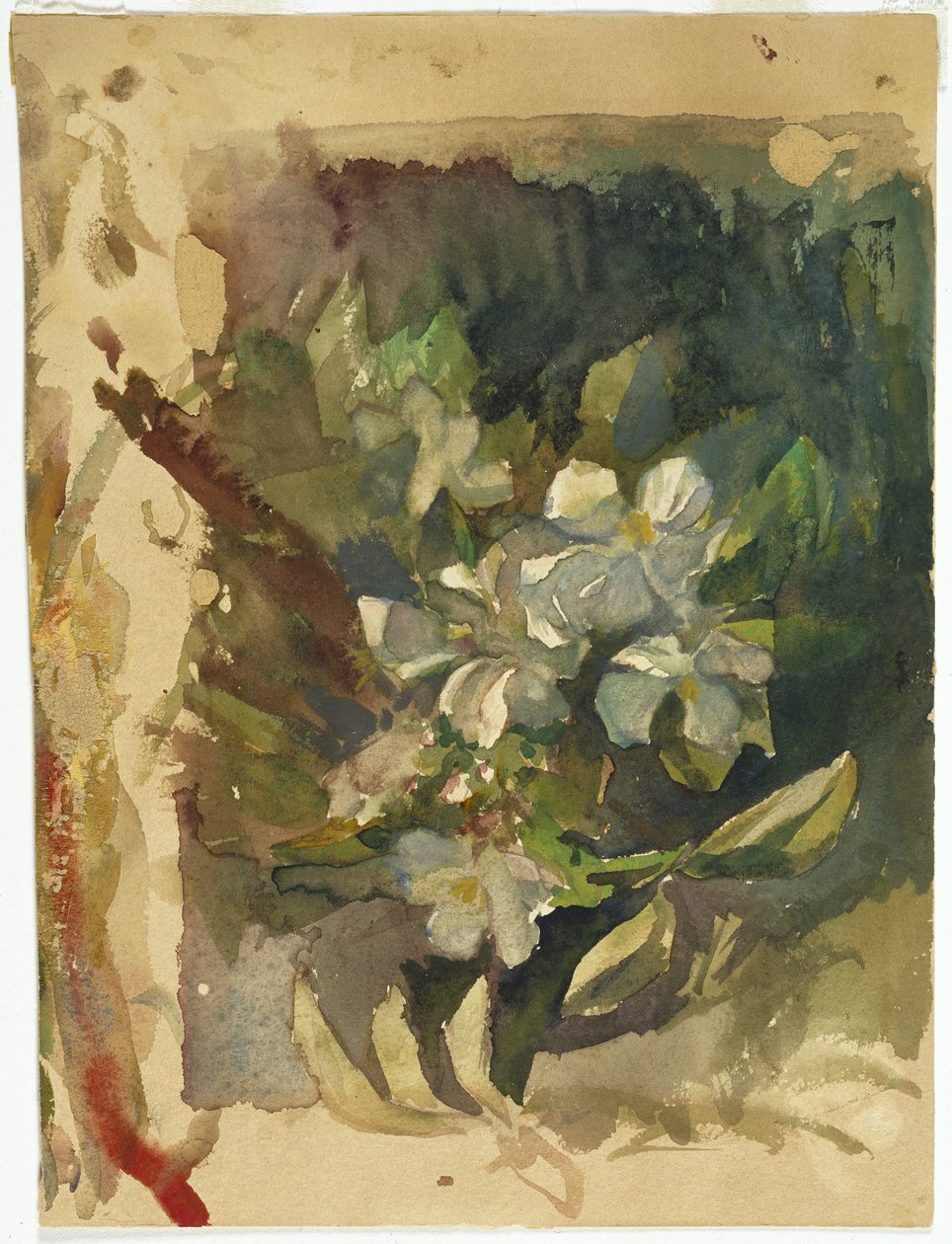 Fiori di melo alla luce del sole da John La Farge or Lafarge