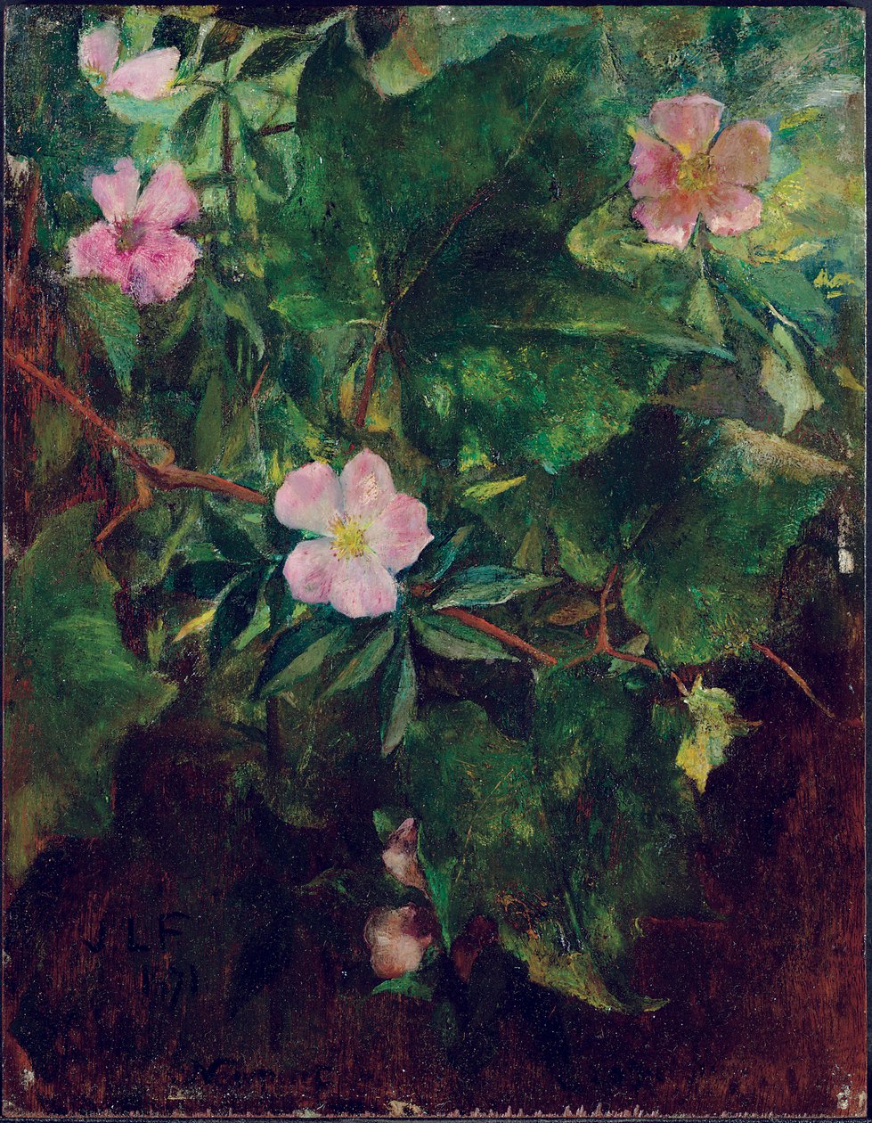 Rosa selvatica e vite, studio dalla natura, 1871 da John La Farge or Lafarge