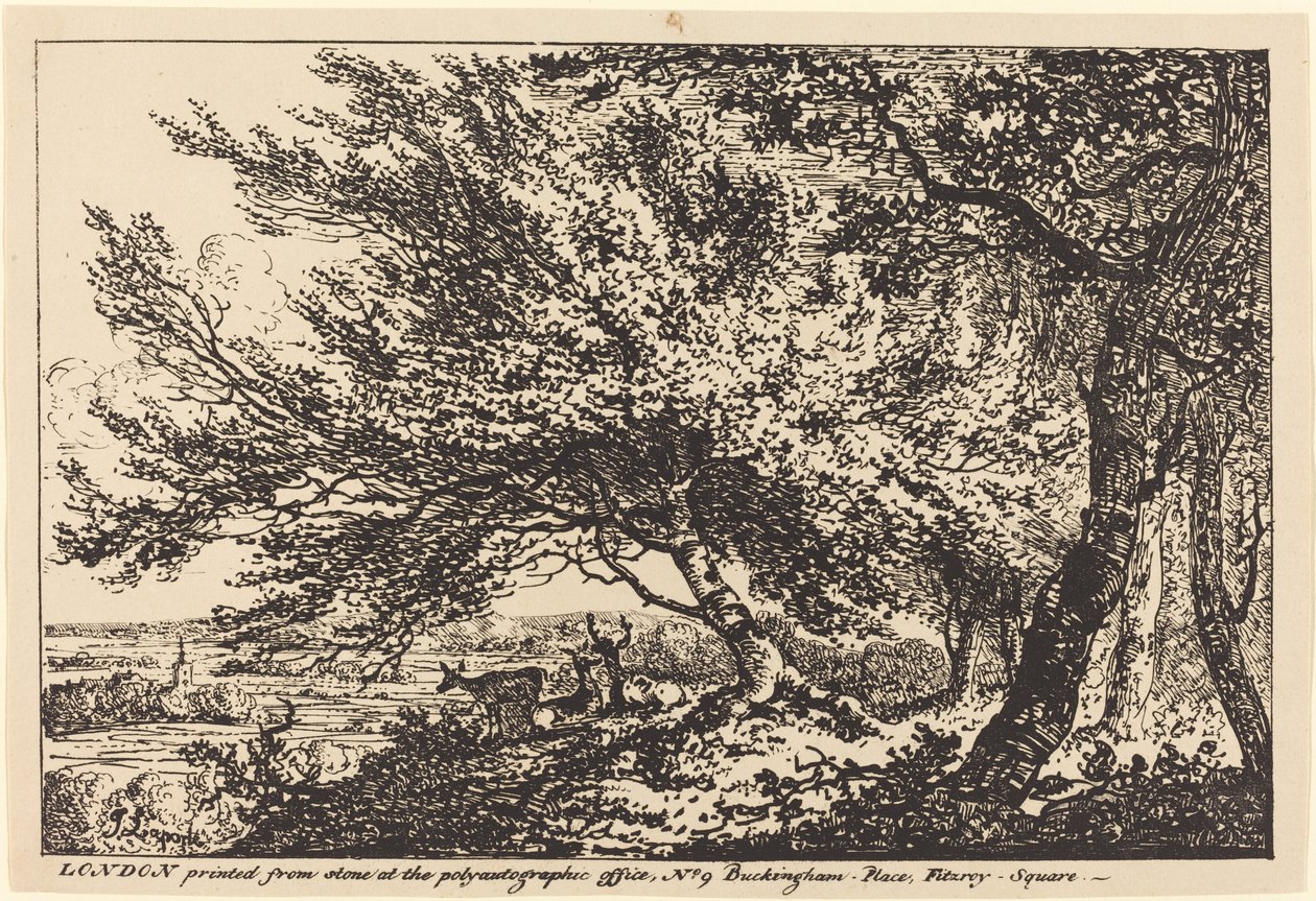 Paesaggio con cervi sotto gli alberi da John Laporte