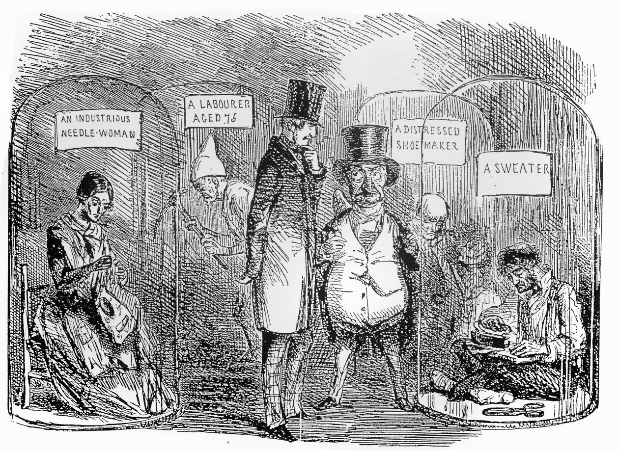 Specimens from Mr Punchs industrial exhibition of 1850 da John Leech