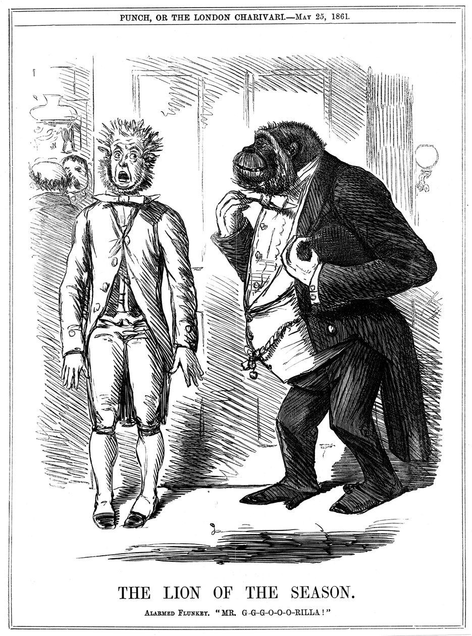 Il Leone della Stagione, 1861 da John Leech