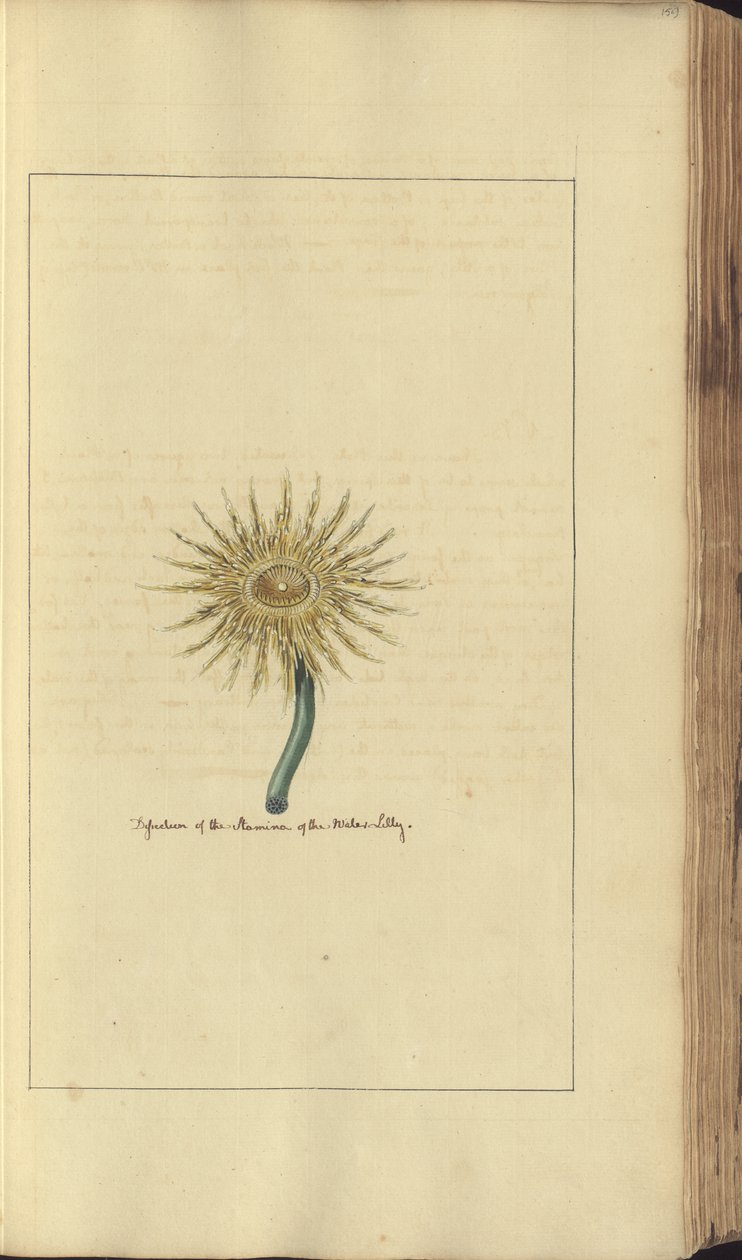 Una pagina da 