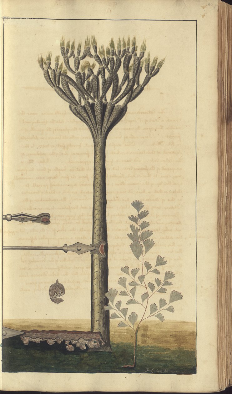 Una pagina da 