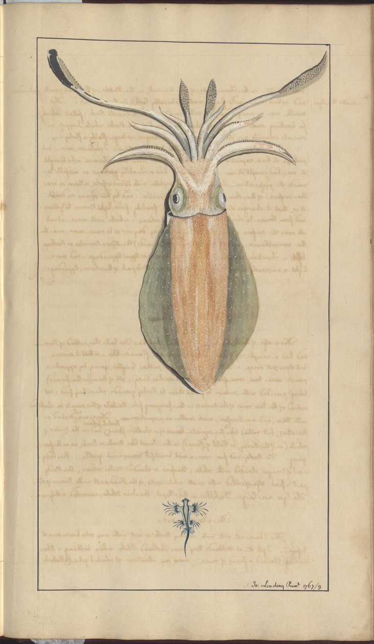 Lindsay Drawings Vol. VII, 29 da John Lindsay