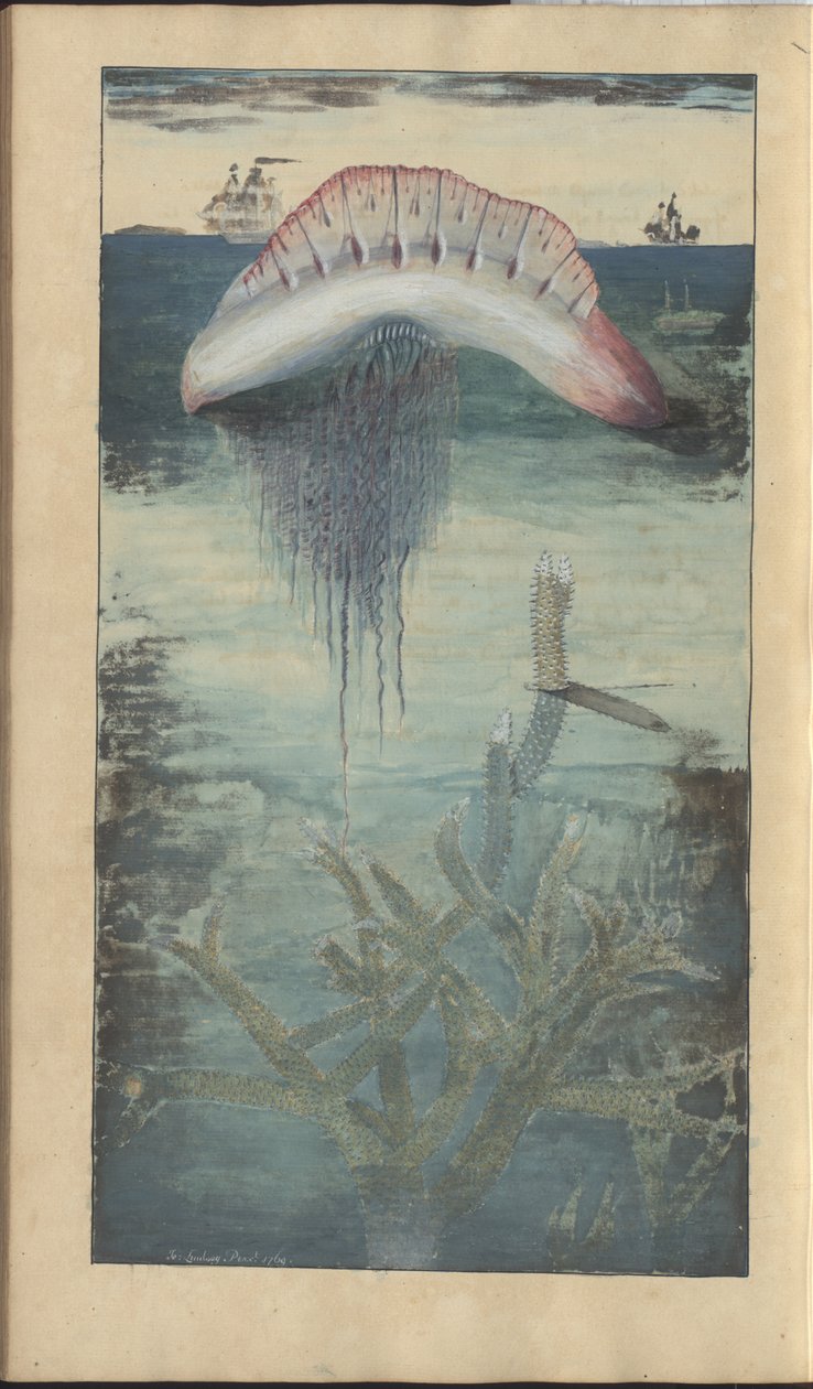Disegni di Lindsay Vol. VII, 30 da John Lindsay