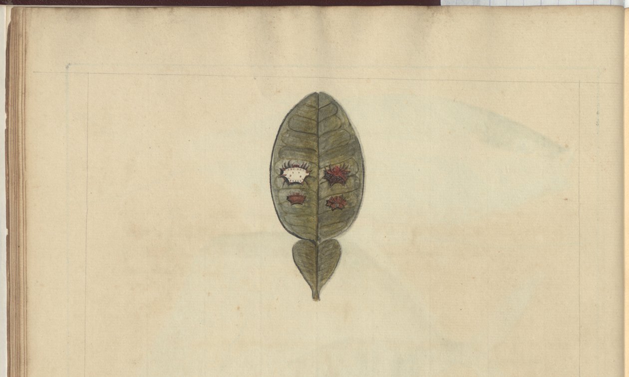 Disegni di Lindsay Vol. VII, 3 da John Lindsay