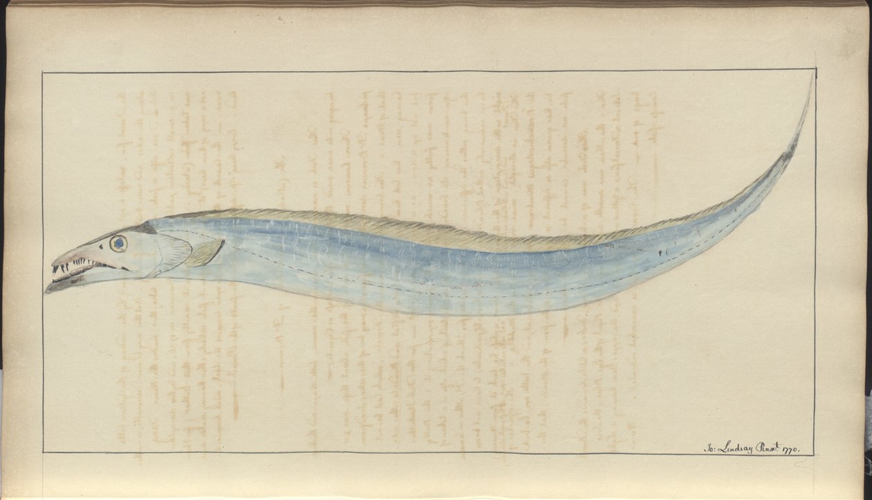 Disegni di Lindsay Vol. VII, 9 da John Lindsay