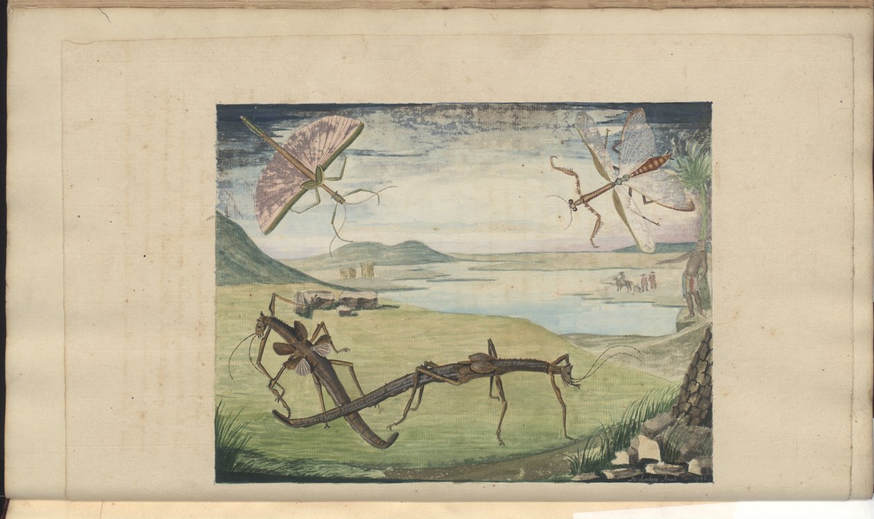 Disegni di Lindsay Vol. VI da John Lindsay