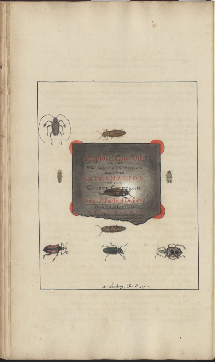 Disegni di Lindsay Vol. VI, 95 da John Lindsay