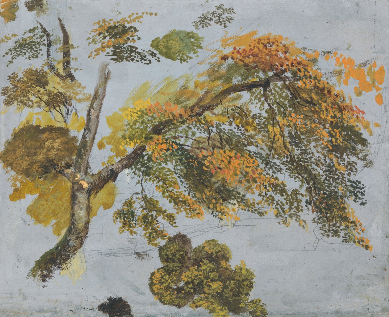 Baumstudie (Herbstlaub) da John Linnell
