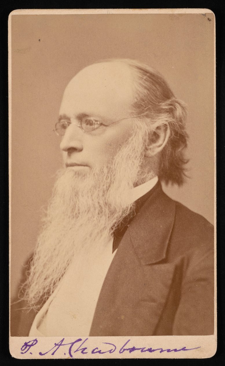 Ritratto di Paul Ansel Chadbourne 1823-1883, tra il 1872 e il 1875 da John Lyman Lovell