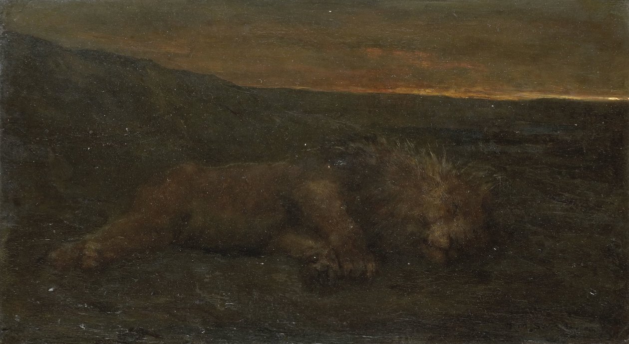 Leone che dorme di notte da John Macallan Swan