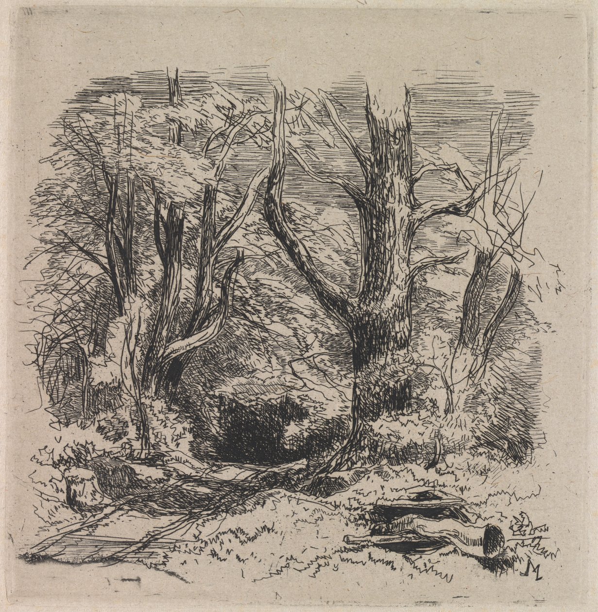 Un sentiero nel bosco da John Middleton