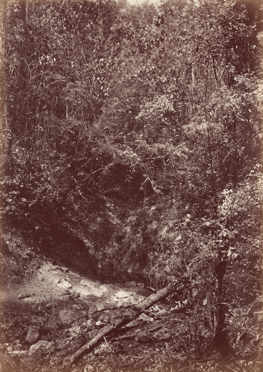 Spedizione Darien, 1871 (foto) da John Moran