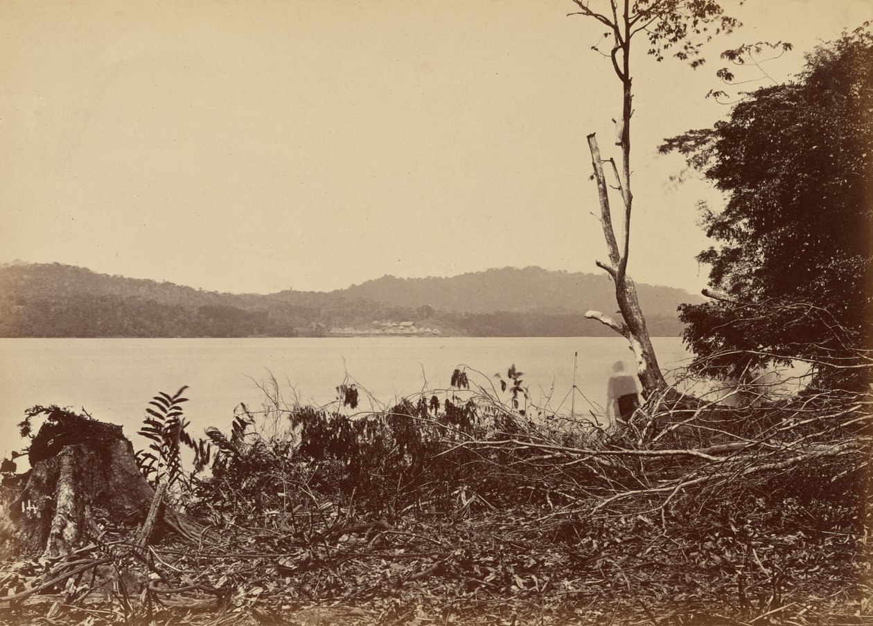 Porto di Darien, Chipigana, 1871 (foto) da John Moran