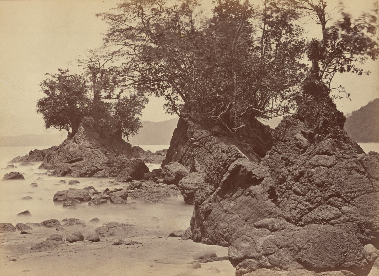 Isole, Baia di Limon, 1871 (foto) da John Moran