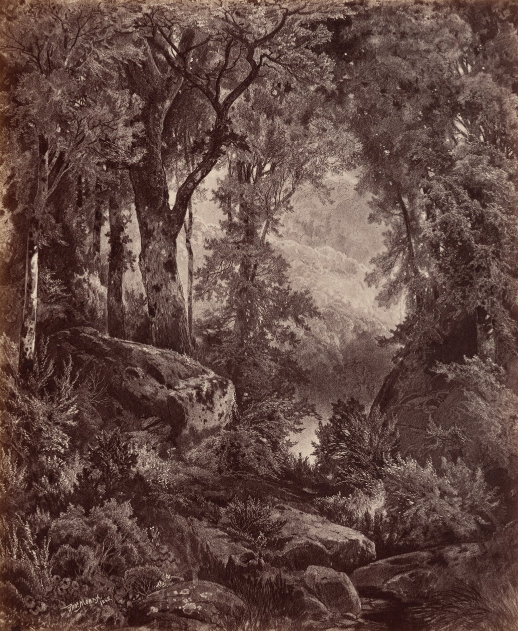 Solitudine, 1865 (foto) da John Moran