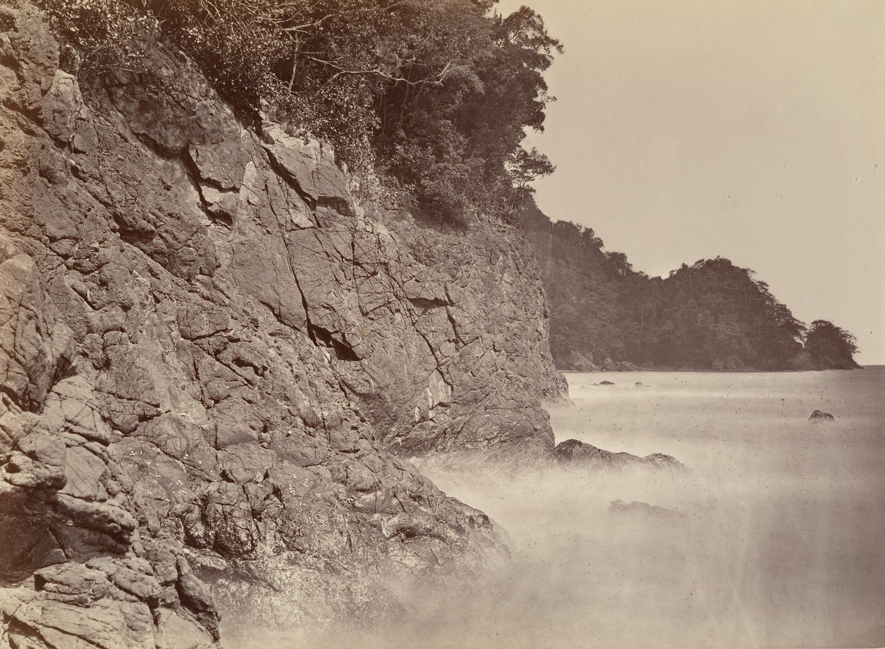 Scenario tropicale, scogliera - Baia di Limon, 1871 da John Moran