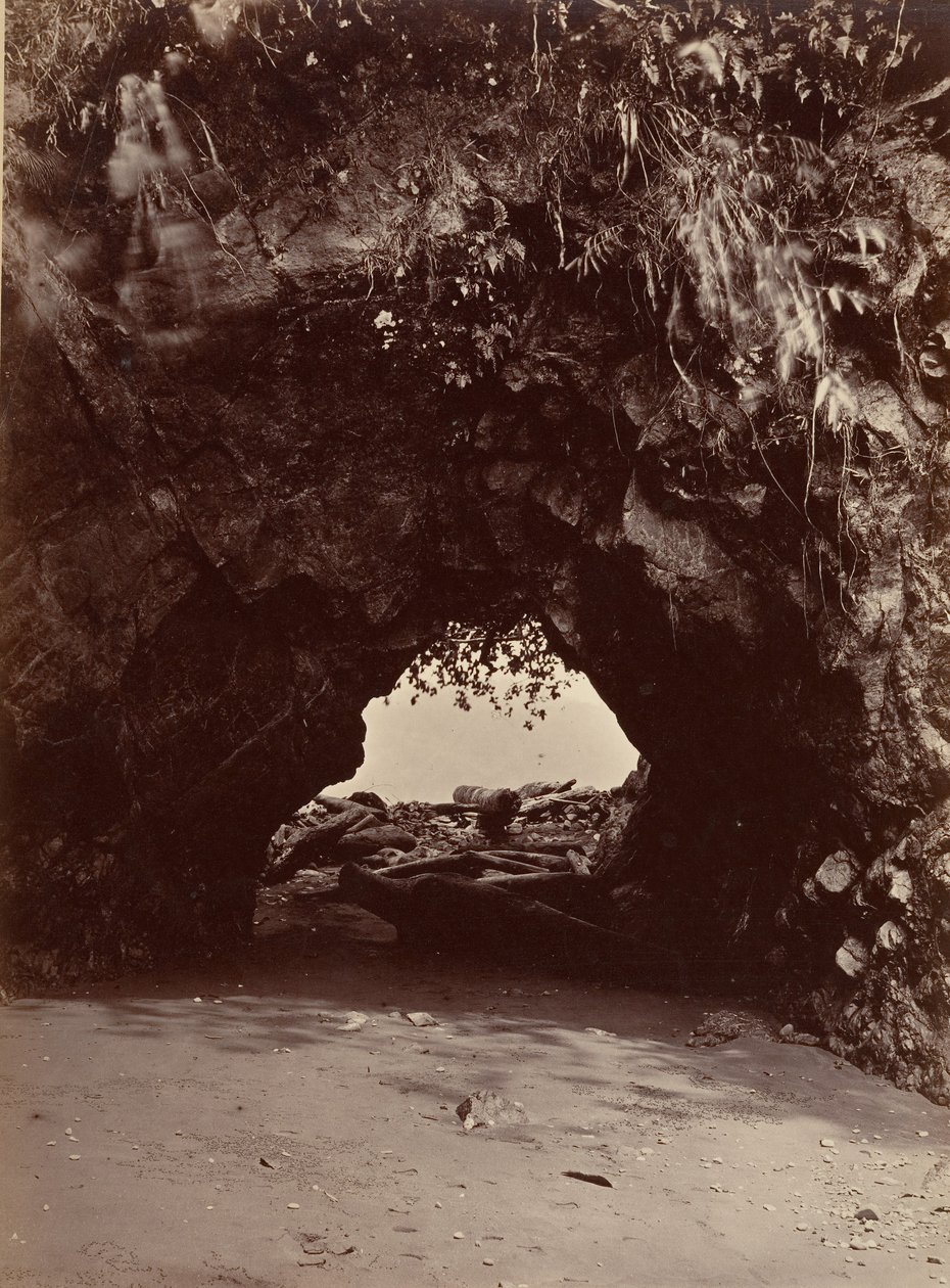 Paesaggio tropicale, Arco naturale, Baia di Cupica da John Moran