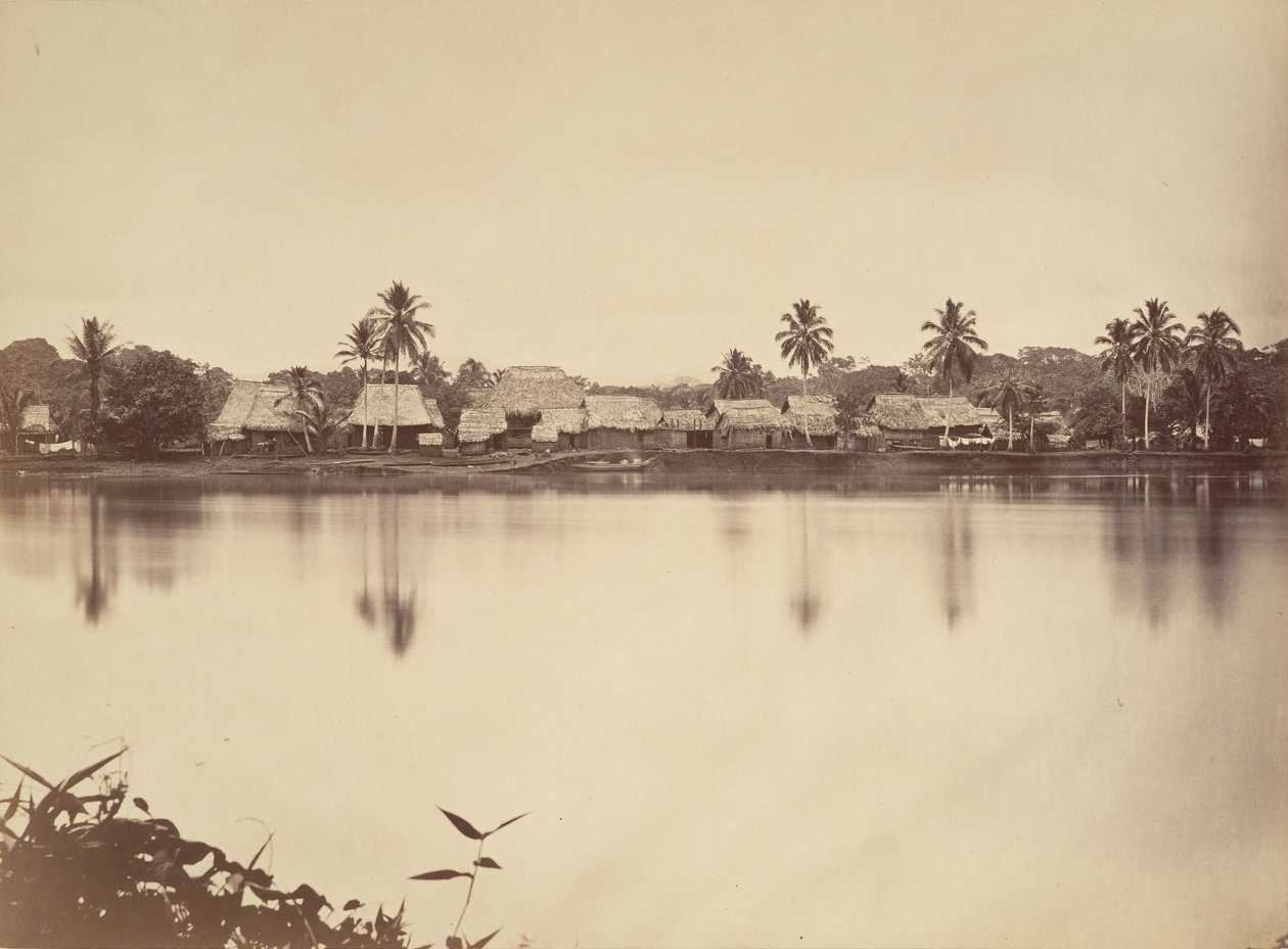 Paesaggio tropicale, Santa Maria del Real, Darien, 1871 da John Moran